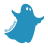 BlueGhost logo