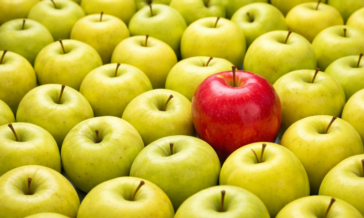 Malý rebel mezi obry: JabkoLevně s humorem a odvahou míří až do nebe